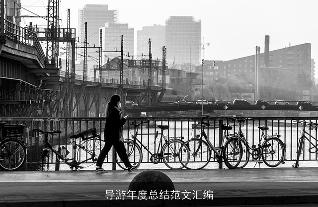 导游年度总结范文汇编