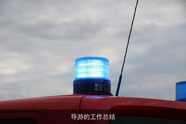 导游的工作总结