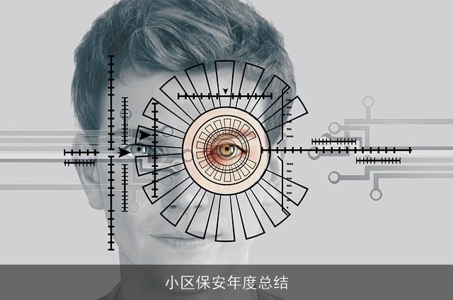 小区保安年度总结