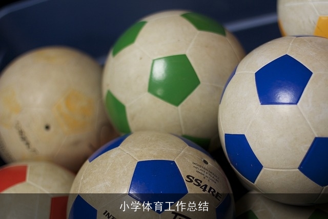 小学体育工作总结