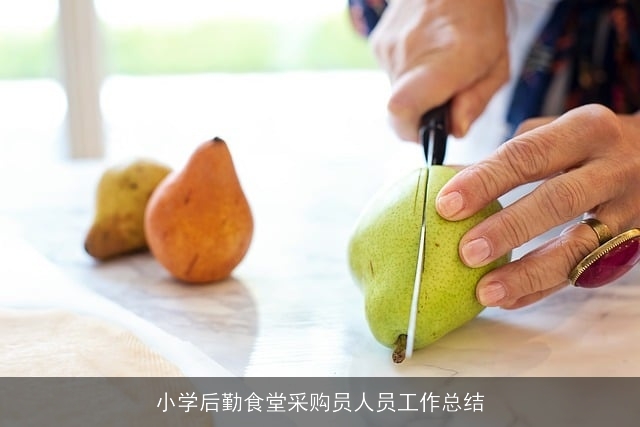 小学后勤食堂采购员人员工作总结