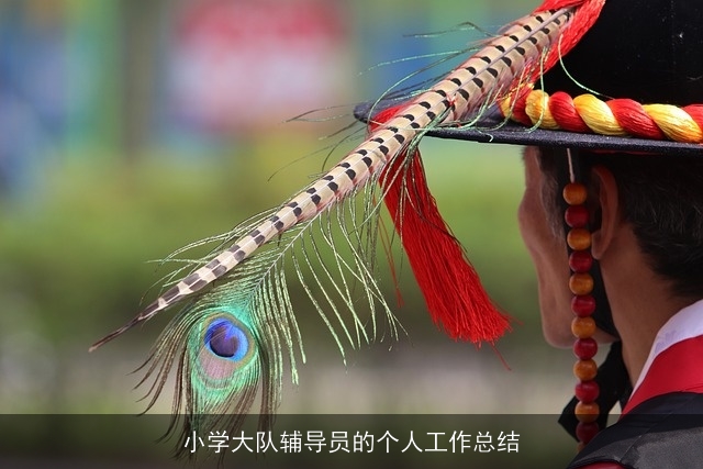 小学大队辅导员的个人工作总结