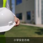小学安全总结