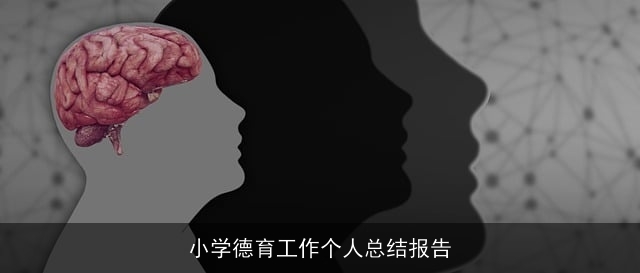 小学德育工作个人总结报告