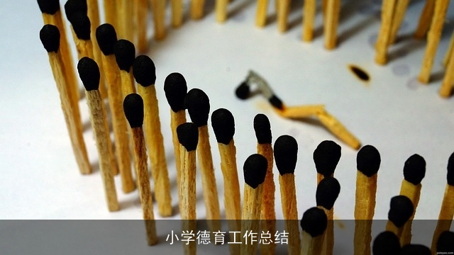 小学德育工作总结