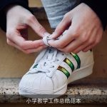 小学教学工作总结范本