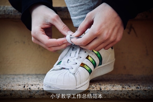 小学教学工作总结范本