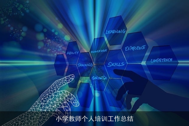 小学教师个人培训工作总结