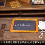 小学教师教育教学总结报告_小学教学总结
