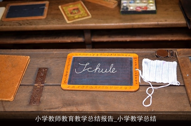 小学教师教育教学总结报告_小学教学总结