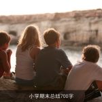 小学期末总结700字