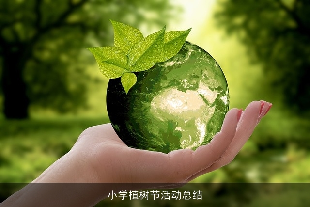 小学植树节活动总结