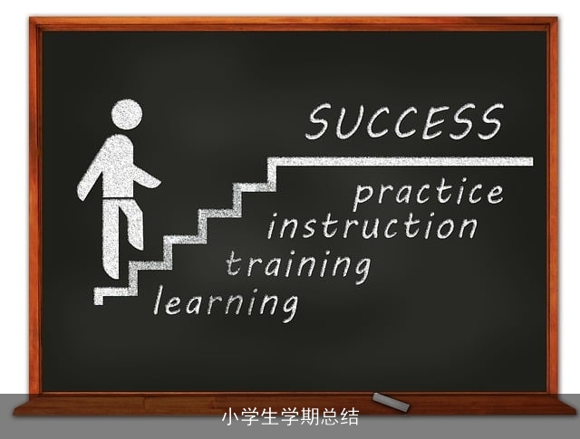 小学生学期总结