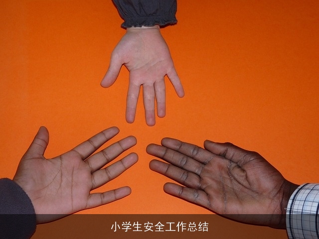 小学生安全工作总结