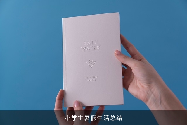 小学生暑假生活总结