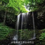 小学科研工作总结范文