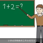 小学试用期教师工作总结范文