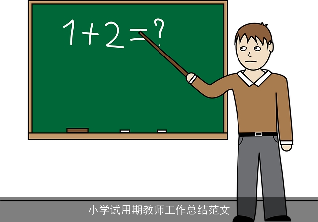 小学试用期教师工作总结范文