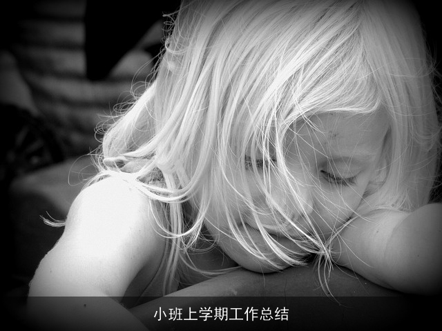 小班上学期工作总结