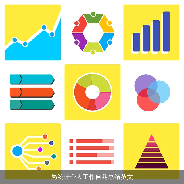 局统计个人工作自我总结范文