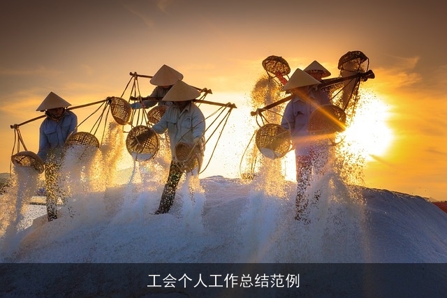 工会个人工作总结范例