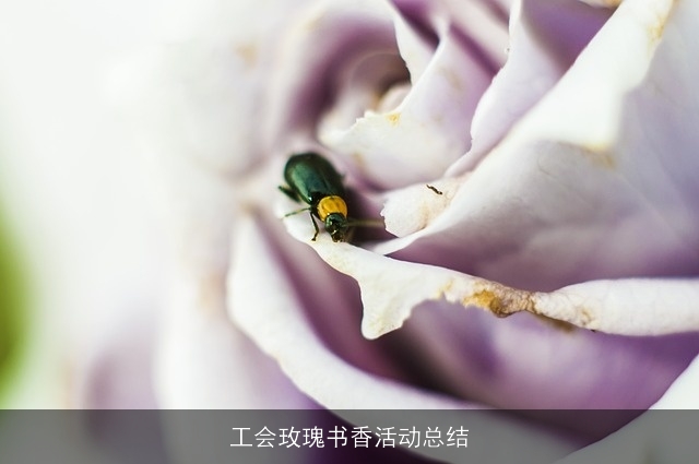 工会玫瑰书香活动总结