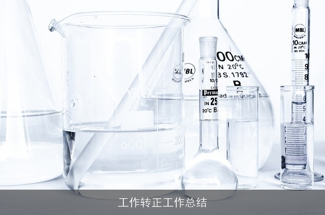 工作转正工作总结