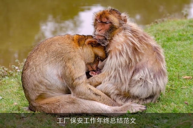 工厂保安工作年终总结范文