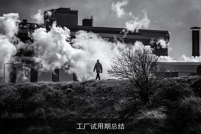 工厂试用期总结