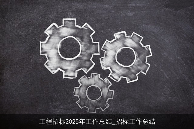 工程招标2025年工作总结_招标工作总结