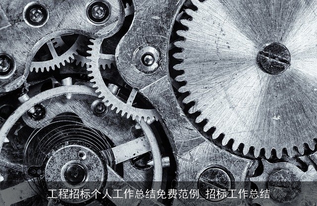 工程招标个人工作总结免费范例_招标工作总结