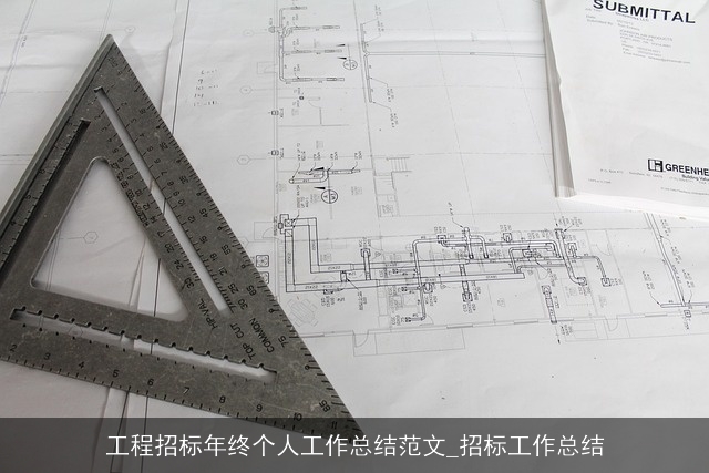 工程招标年终个人工作总结范文_招标工作总结