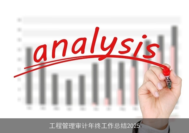工程管理审计年终工作总结2025