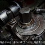 市商务年中总结和2025年工作计划_商务工作总结