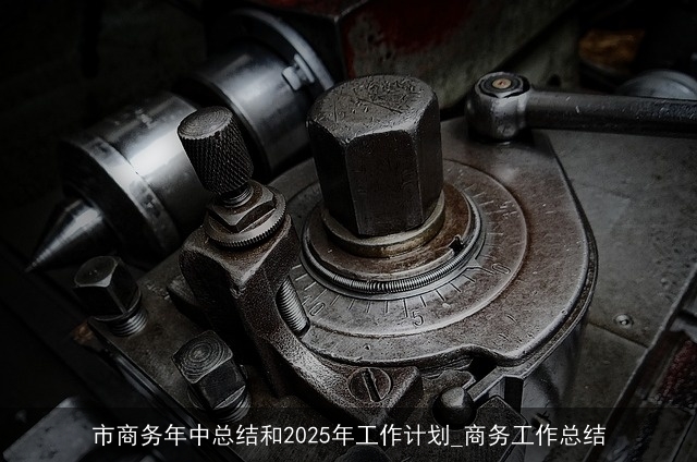 市商务年中总结和2025年工作计划_商务工作总结