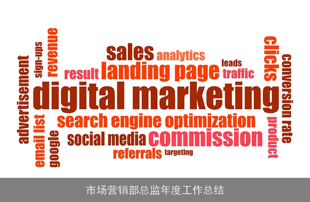 市场营销部总监年度工作总结
