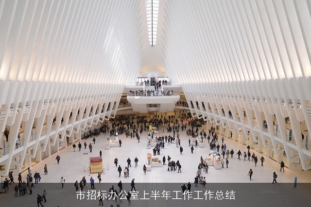 市招标办公室上半年工作工作总结