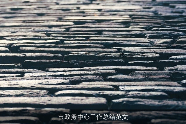 市政务中心工作总结范文