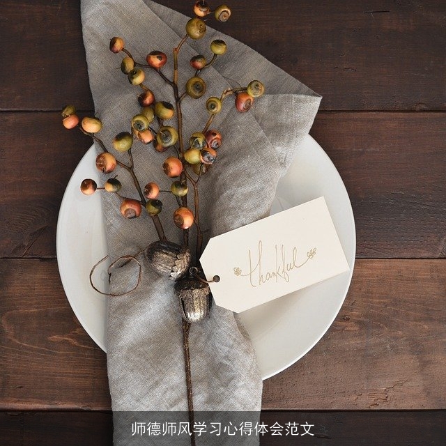 师德师风学习心得体会范文