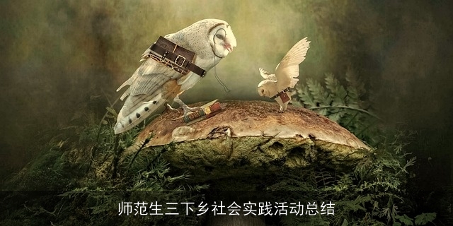 师范生三下乡社会实践活动总结