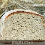 师范生教学实习总结