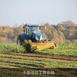 干部培训工作总结