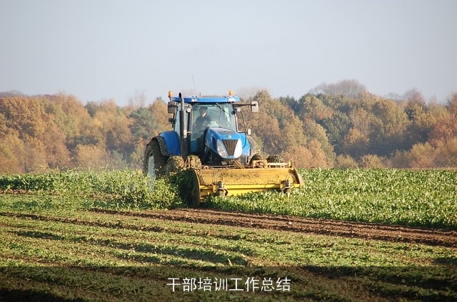 干部培训工作总结