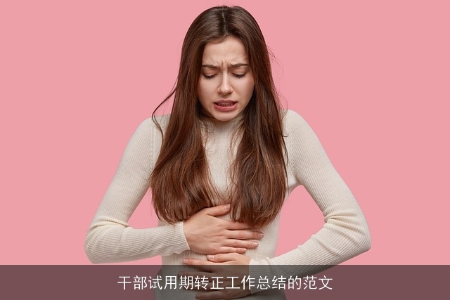 干部试用期转正工作总结的范文