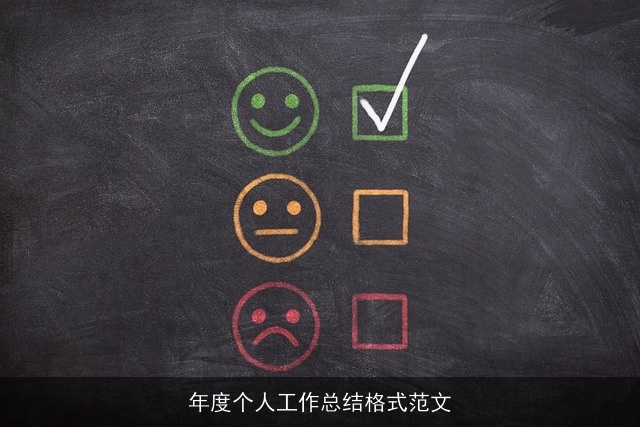 年度个人工作总结格式范文