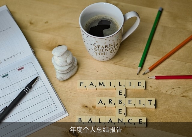 年度个人总结报告