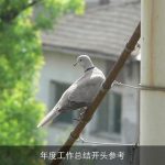 年度工作总结开头参考