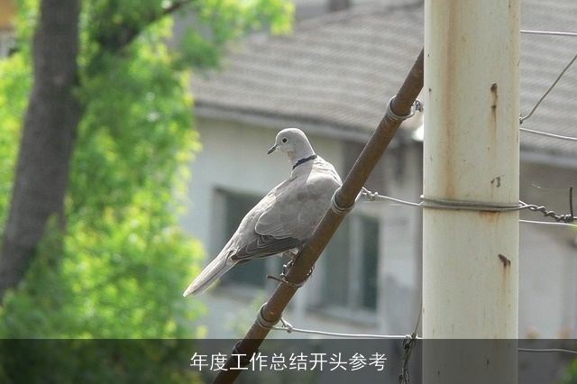 年度工作总结开头参考