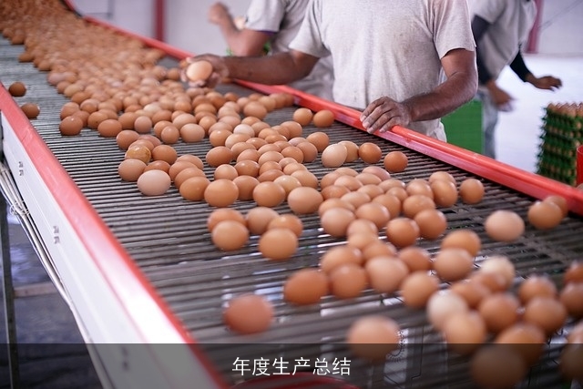 年度生产总结