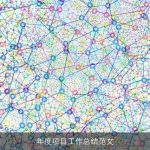 年度项目工作总结范文